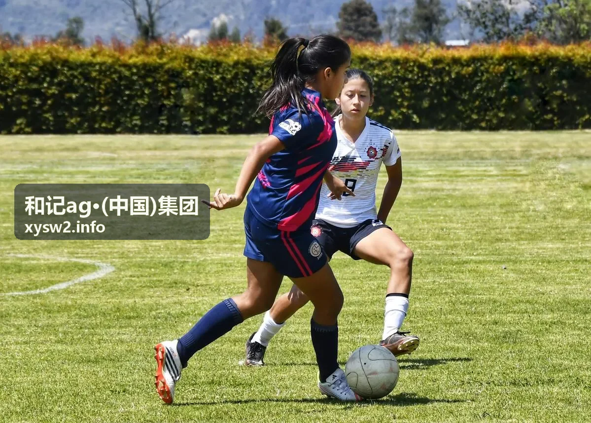 和记ag渠道拓展与伙伴协同现场示意
